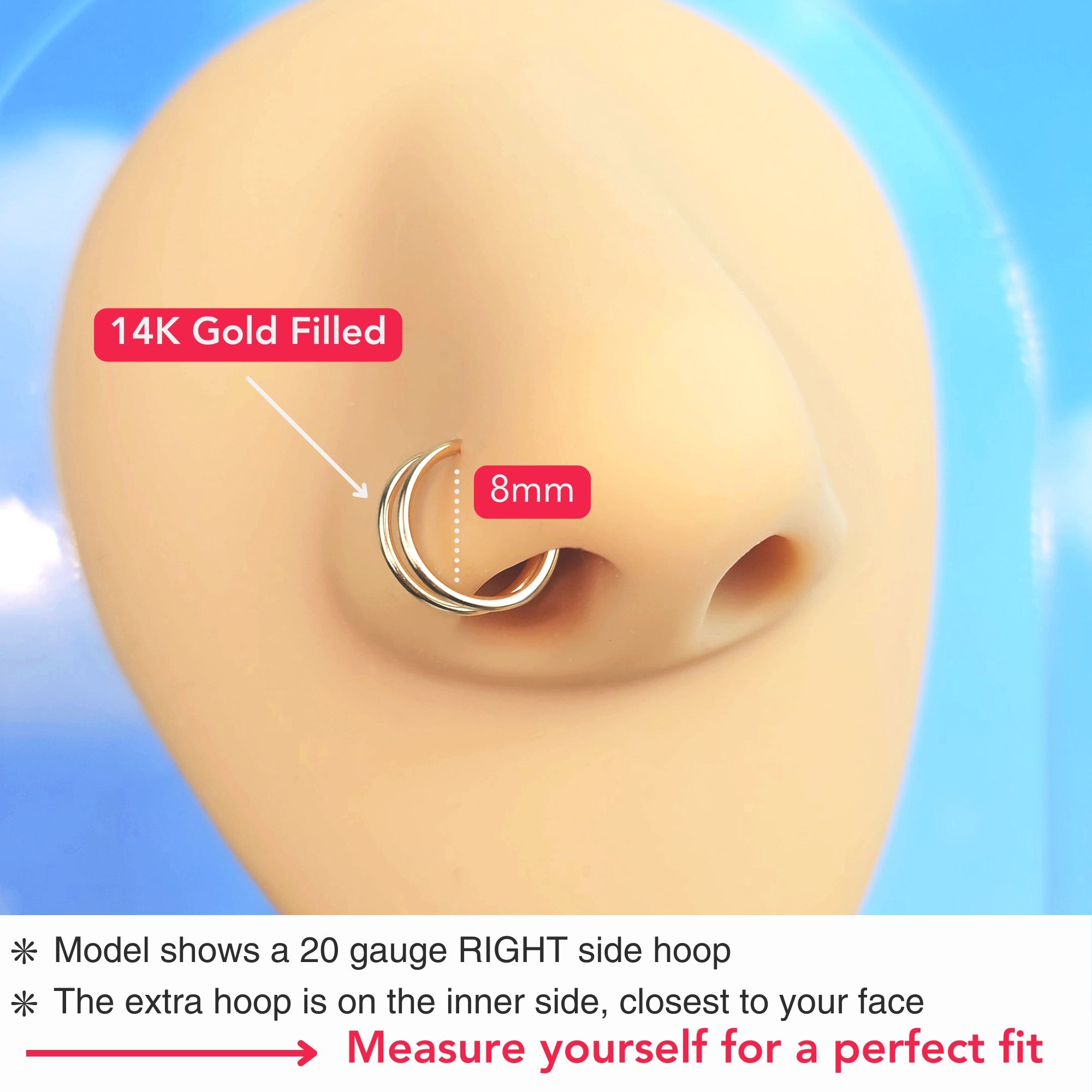 Double Hoop Nose Ring